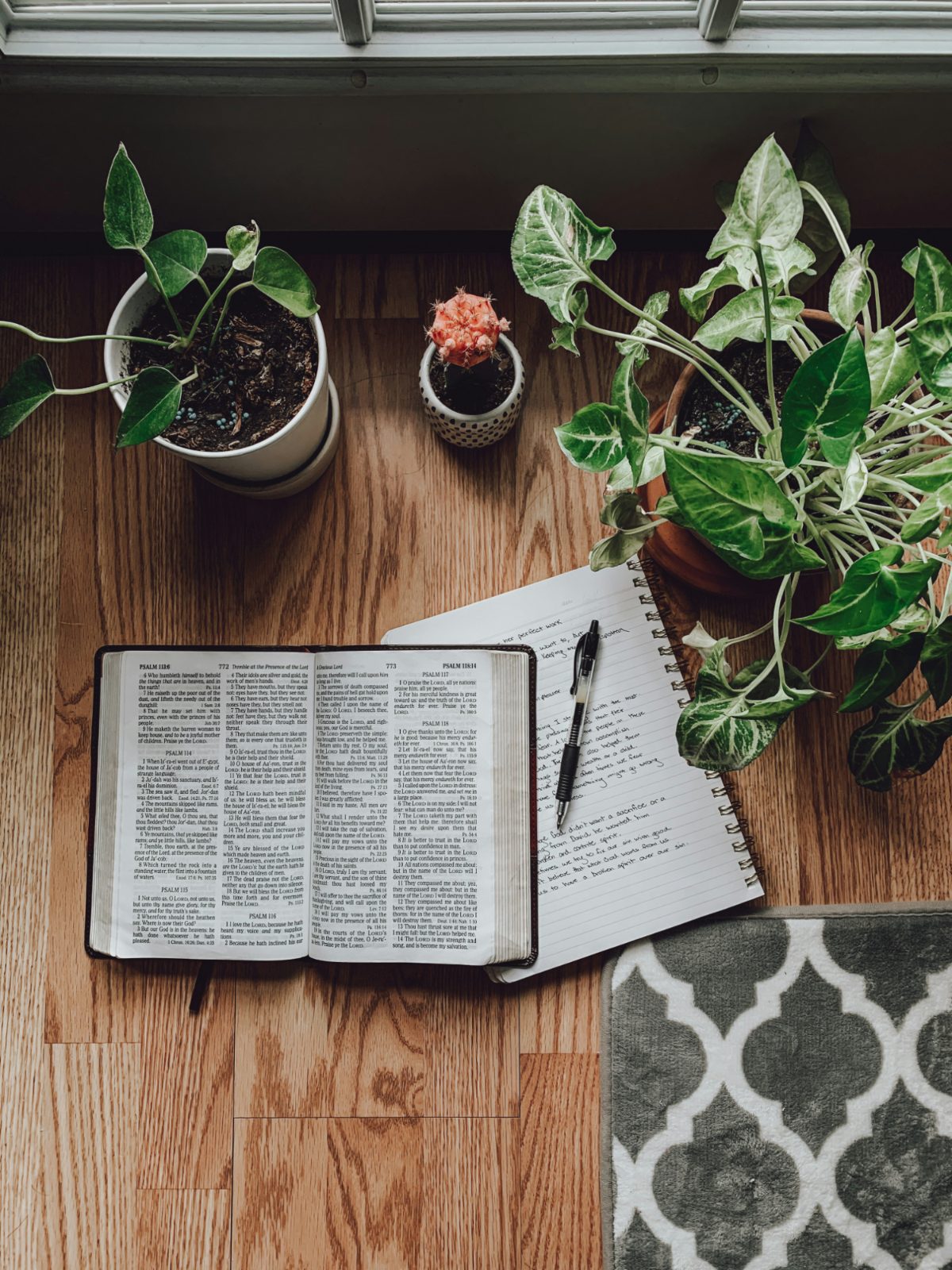Open Bible and journal
